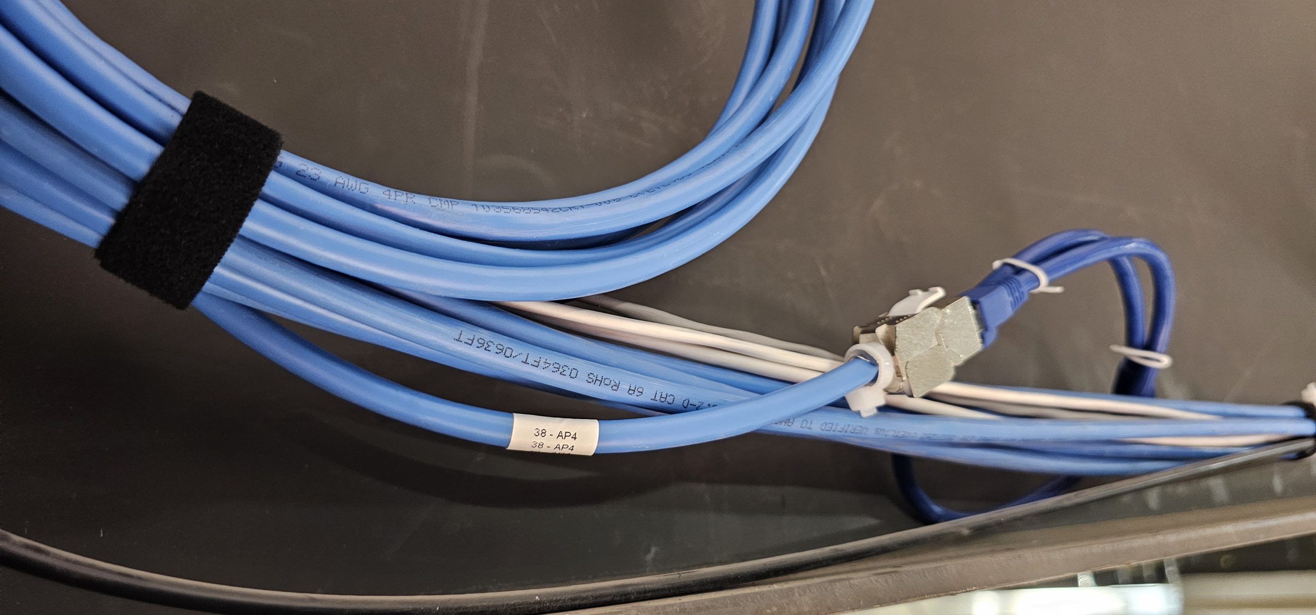 Blue network cables routed through a building